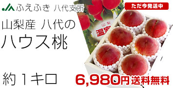 Ȭϥ1kg