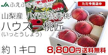 Ȭϥ1kg
