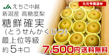 μ5kg