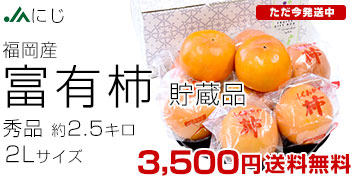 �ˤ�����ͭ��2.5kg��¢