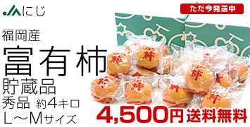 �ˤ�����ͭ��2kg��2Ȣ��¢