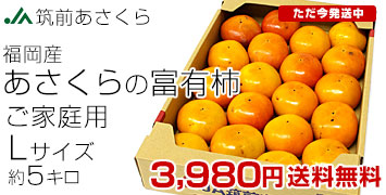 あさくら柿L5キロ