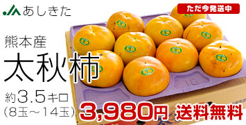 太秋柿　3.5キロ