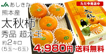 太秋柿　2キロ