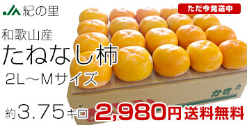 種無し柿3.75キロ