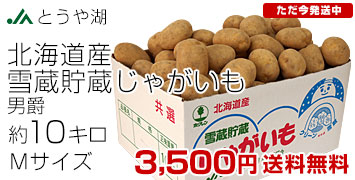 ¢㤬M10kg
