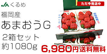 ���ޤ���G2Ȣ