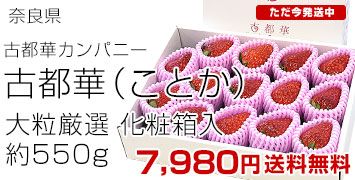 ���Բ� ��γ����Ȣ550g