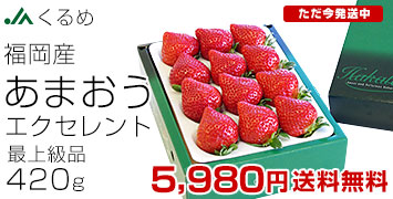 ���ޤ���EX