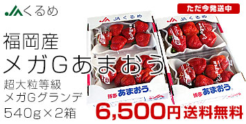 ���ޤ����ᥬG540g��2Ȣ