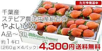 褤Ҥ