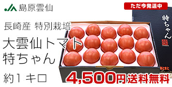 ȥޥ1kg