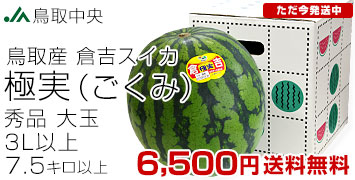 ҵȶ˼¤