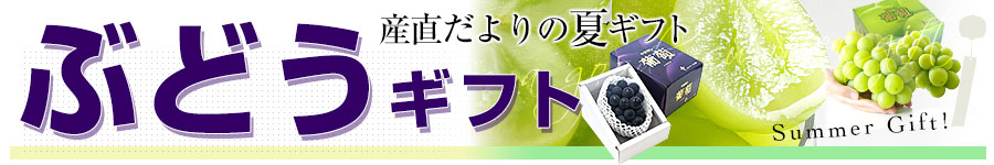 ブドウギフト