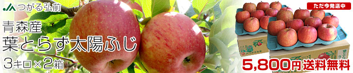 太陽ふじ2箱