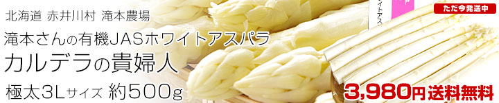 ܣLۥ磻