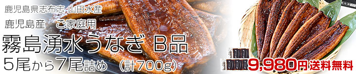 霧島湧水うなぎ B品