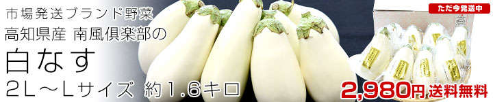 ػ