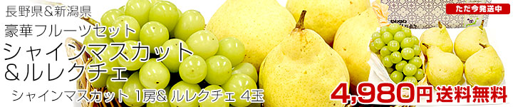 㥤쥯å