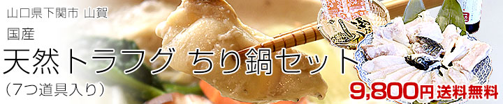 山賀 天然トラフグちり鍋セット