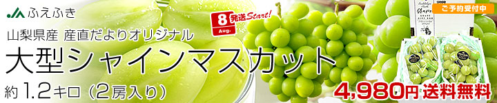 JAդդ 緿㥤ޥå1.2kg