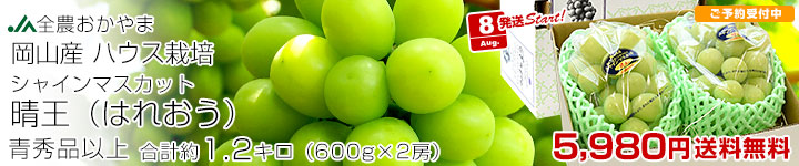 ϥ㥤1.2kg