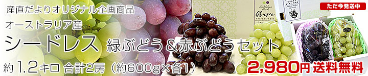 ɥ쥹å