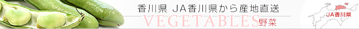 JAޤ