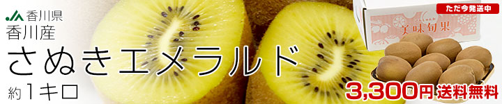 ���̤�������ɡ���1����