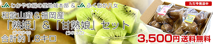 ��ɱ�Ž�̼���å�