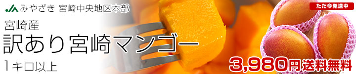 ܺޥ󥴡