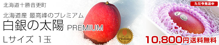 �������ۥץ�ߥ���L