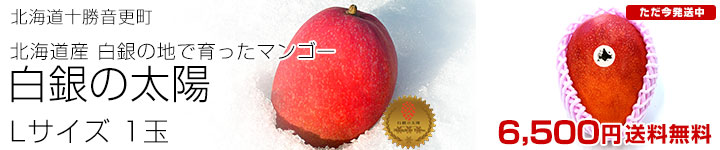 ��������L