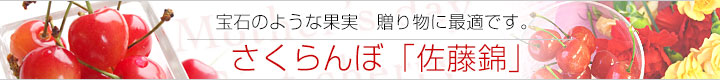£ʪ˺ƣ