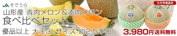 󥻥å
