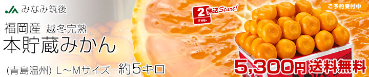 ����ߤ���