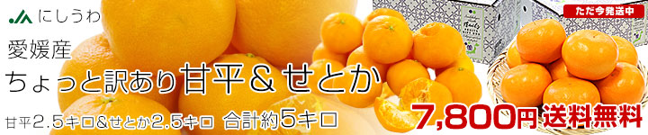 ��ʿ�����Ȥ����å�