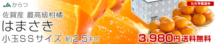 �Ϥޤ�������2.5����