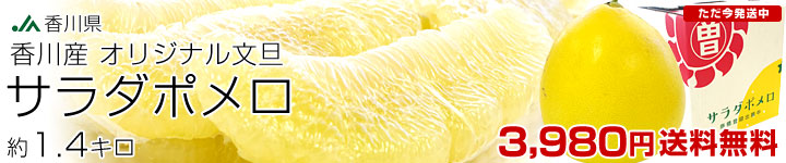 ������ݥ��