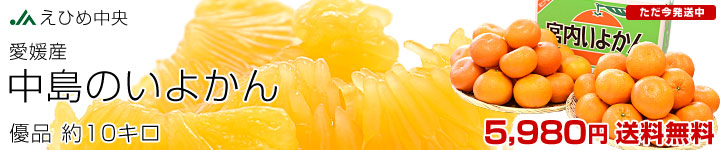 ����Τ��褫��