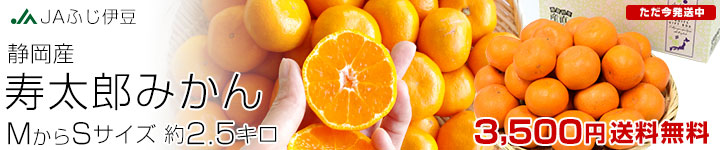 ����Ϻ�ߤ���MS3����