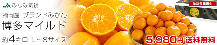 博多マイルド4kg