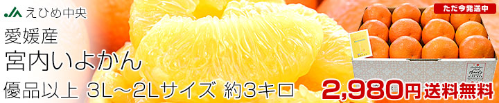 ⤤褫 3