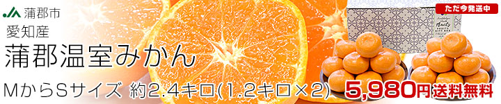ϥߤ2.4