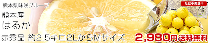 ܸ̣饰롼 Ϥ뤫 