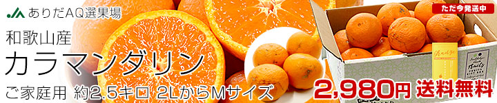 ͭĥޥ󤴲2.5kg
