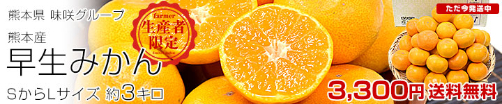 ̣�饰�롼�� �����ߤ���