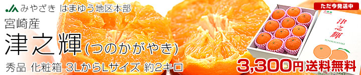 �ܺ���Ƿ��