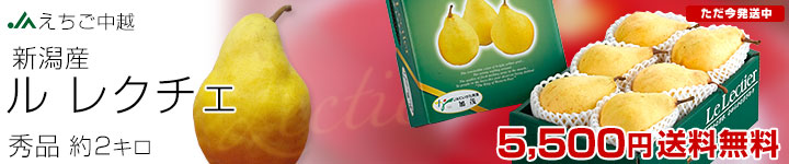レクチェ秀品2キロ
