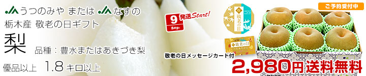 Ϸ 6